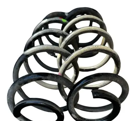Rear coil spring