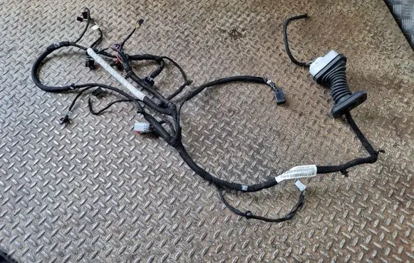 Dodge Challenger Front door wiring loom 68492081AB P68492081AB