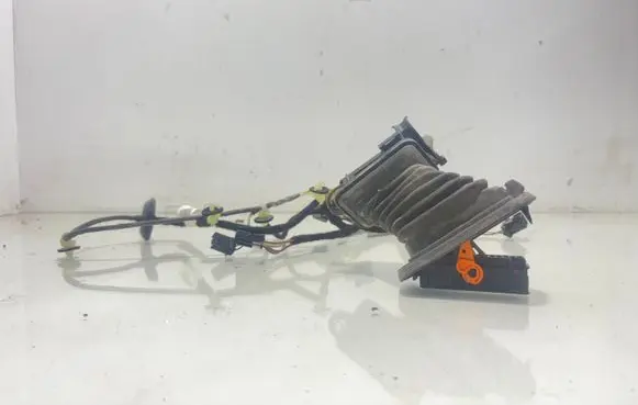 Volkswagen PASSAT B7 Rear door wiring loom 3AA971694CB
