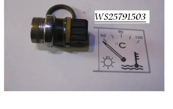 Ford Galaxy Coolant temperature sensor WS25791503