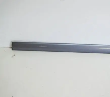 Front door trim (molding)