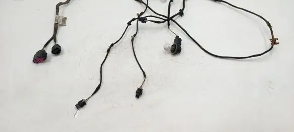 Volkswagen PASSAT B7 Other wiring loom 3AA971095R