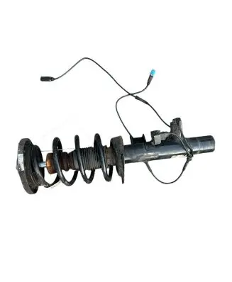 BMW X3 F25 Front shock absorber with coil spring 6797025 108176