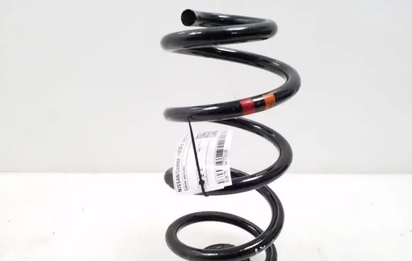 Nissan Qashqai Rear coil spring 
