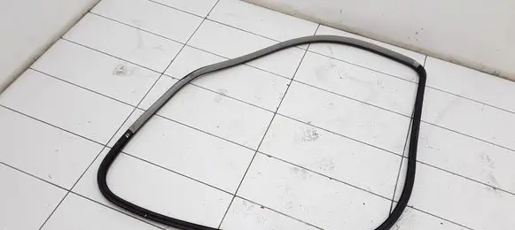 Volkswagen PASSAT B5.5 Front door rubber seal