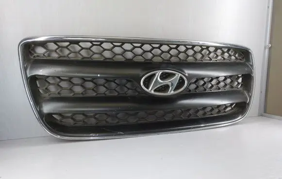 Hyundai Santa Fe Front bumper upper radiator grill E86512B010