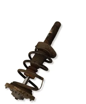 BMW X3 F25 Front shock absorber with coil spring 