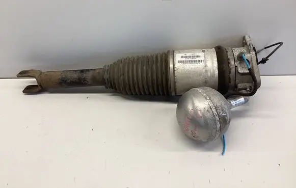 Volkswagen Phaeton Rear shock absorber/damper 3D0616002N 169ATE048D167E