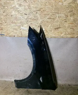 Fender