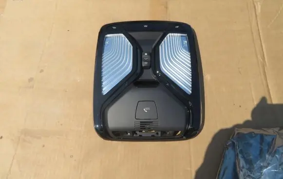 BMW X3 G01 Headlining lighting console trim 61315A447A9