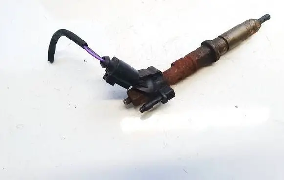 Volkswagen Crafter Fuel injector 0445115029