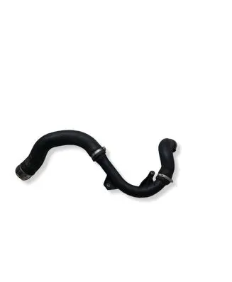 Renault Clio V Intercooler hose/pipe 310000195603