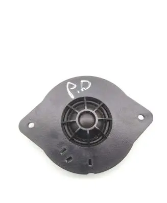 Panel speaker