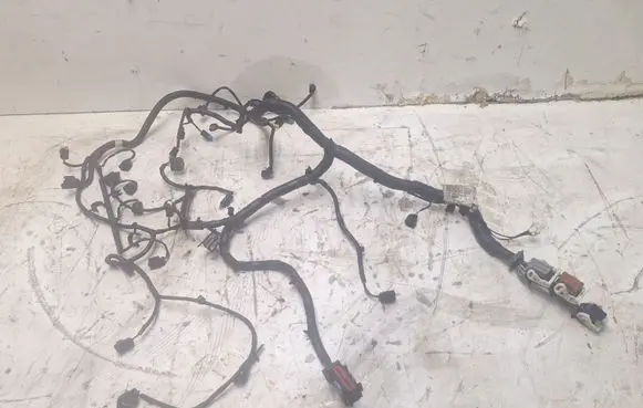 Engine installation wiring loom