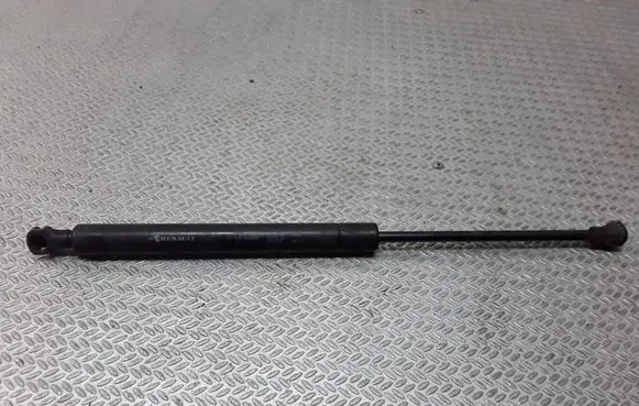 Front bonnet/hood damper/strut