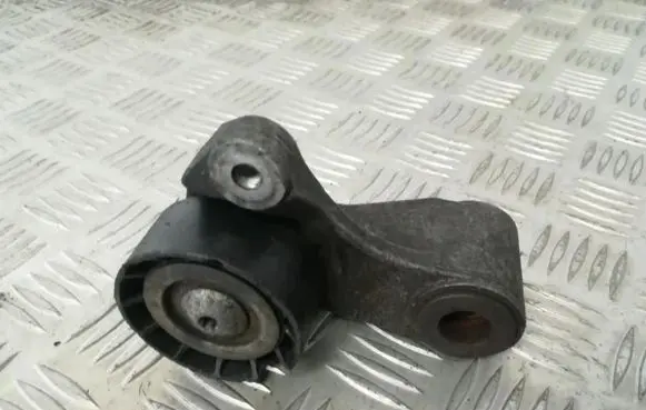 Renault Scenic I Belt tensioner pulley 7700102395