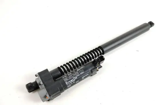 Tailgate strut