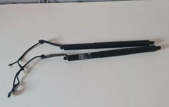 Tailgate strut