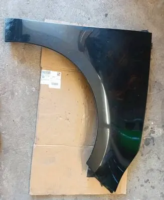 Renault Scenic III - Grand scenic III Fender