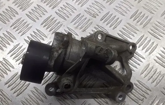 Citroen C3 Timing belt tensioner 9676870780