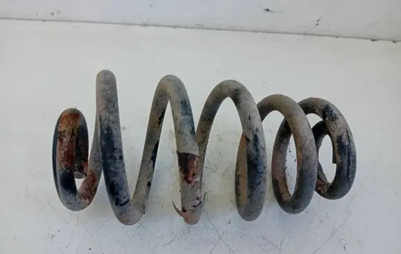 Rear coil spring