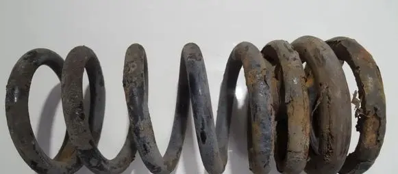 KIA Carnival Rear coil spring