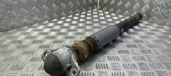 Rear shock absorber/damper