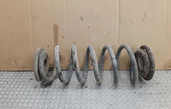 Rear coil spring