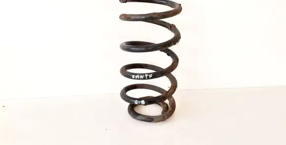 Hyundai Santa Fe Rear coil spring