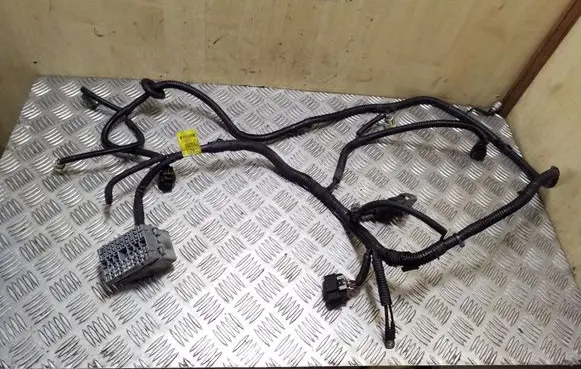 Opel Antara Other wiring loom 20990281