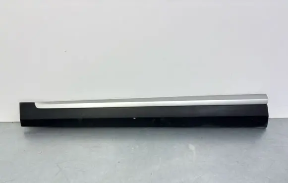 MG ZS Front door trim (molding) 10360762