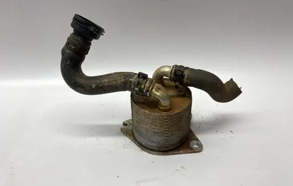 Volkswagen Jetta VII Engine oil radiator 095409061B 5QM122157AD