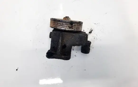 KIA Carnival Generator/alternator belt tensioner