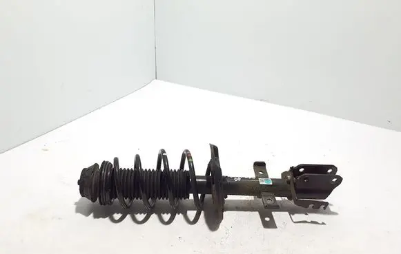 Dacia Duster Rear shock absorber/damper 543024047R