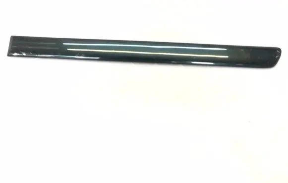 Mercedes-Benz ML W163 Rear door trim (molding) 1636900362
