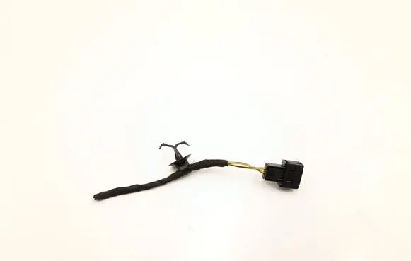 BMW X3 G01 Other wiring loom 6905140 13557211C