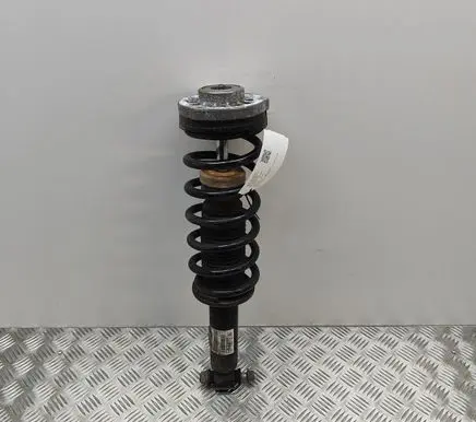 BMW X3 F25 Rear shock absorber/damper 6796317