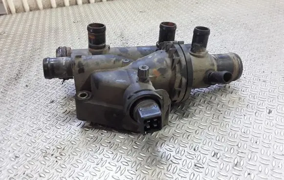 Thermostat/thermostat housing