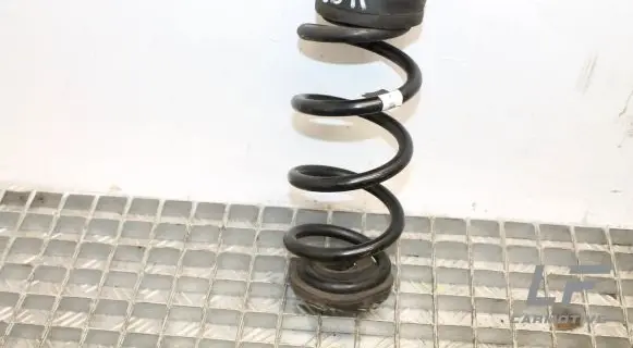 Audi A5 Rear coil spring