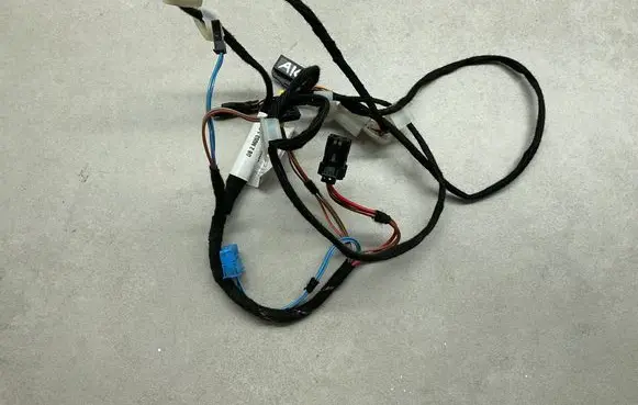 Mercedes-Benz S W220 Rear door wiring loom 2205404508 171199Q04