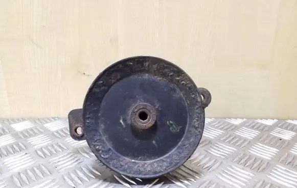 Ford Maverick Power steering pump