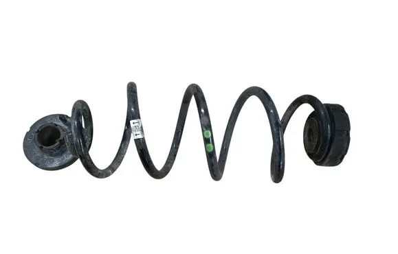 Rear coil spring
