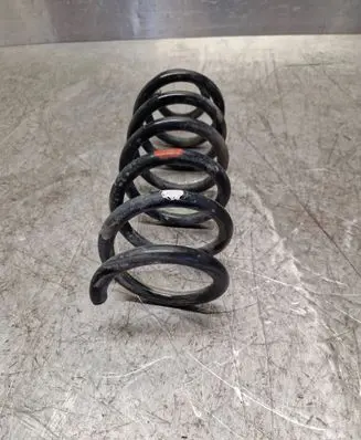 Rear coil spring