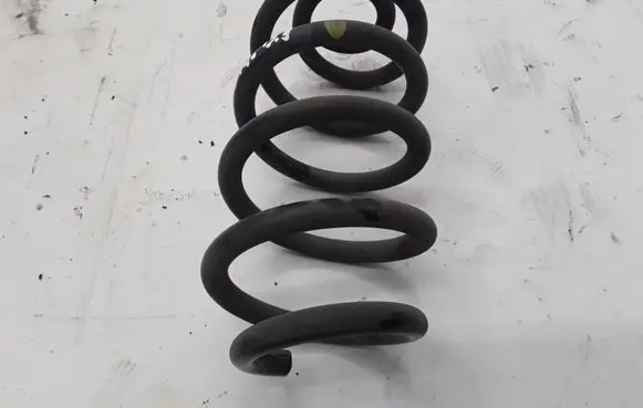 Renault Zoe Rear coil spring 550206834R