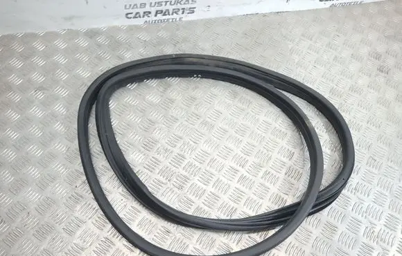 Opel Meriva A Front door rubber seal