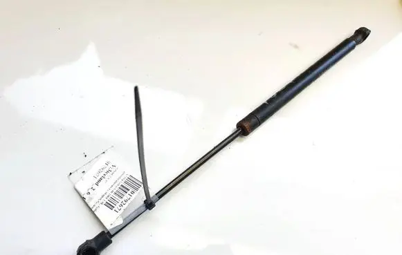 Tailgate/trunk strut/damper