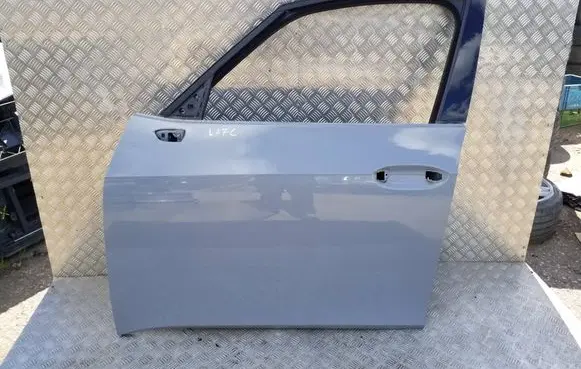 Cupra Born Front door