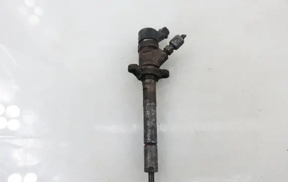 Citroen C4 I Fuel injector 0445110239