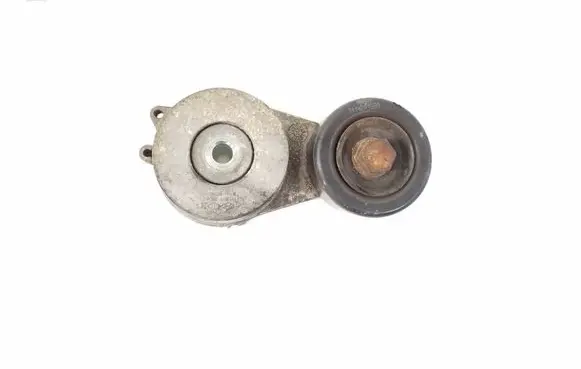 Hyundai Santa Fe Timing belt/chain tensioner 252812F000
