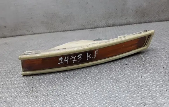 Volkswagen PASSAT B6 Front indicator light